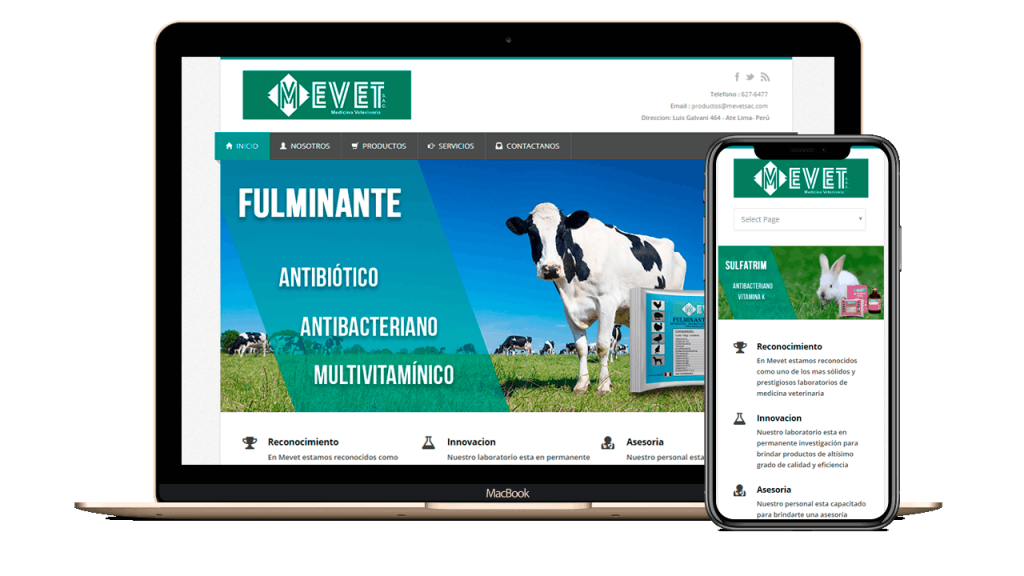 Diseño Web Empresarial para MEVET